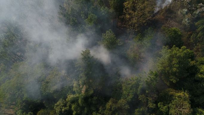 森林火灾烟雾紧急山脉危险