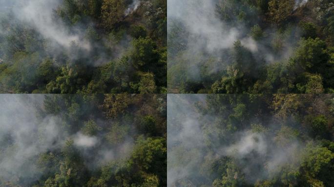 森林火灾烟雾紧急山脉危险