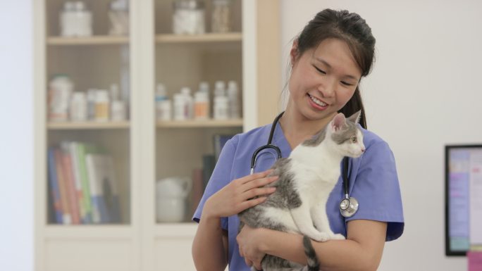 兽医抱着一只可爱的白灰相间的小猫