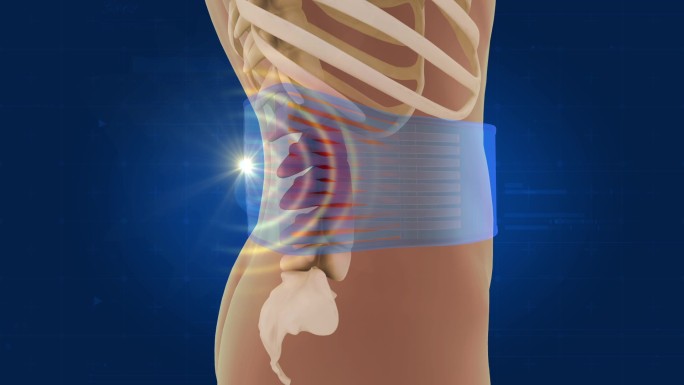 护腰带保护腰椎
