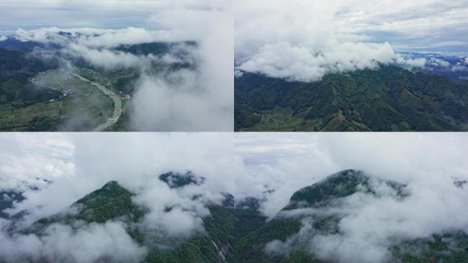 4K武夷山国家森林公园云雾缭绕合集