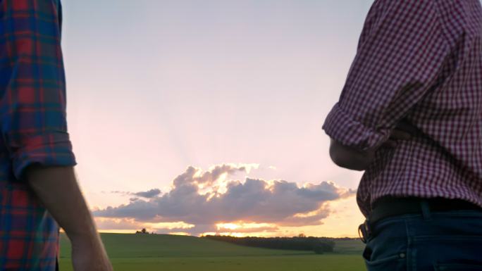 爸爸和他的儿子一起站在麦田看美丽日落