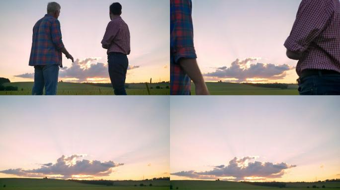 爸爸和他的儿子一起站在麦田看美丽日落