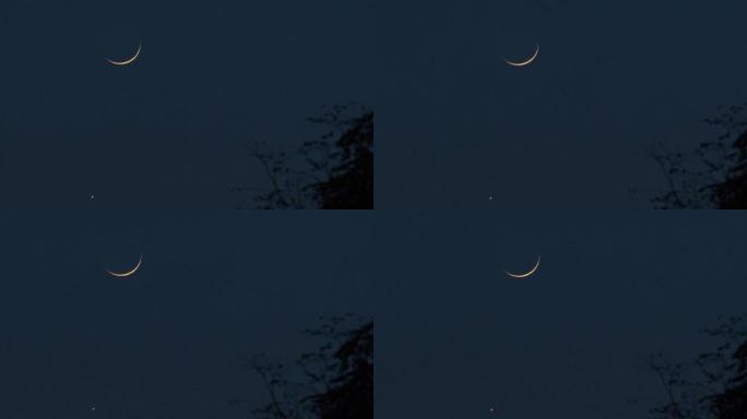 2.8K夜空树梢上的残月金星01