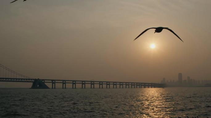 夕阳城市，跨海大桥，鸟群，飞鸟大海，雾霾