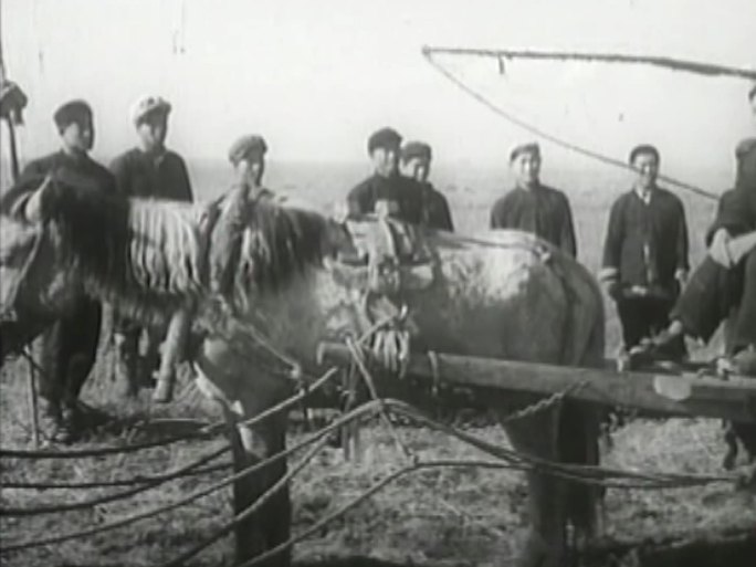 50年代的农村劳动场景