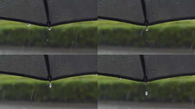 升格雨伞雨滴滑落