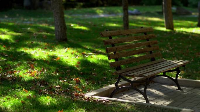 秋天公园长椅凳子落叶，孤独空镜转场4k