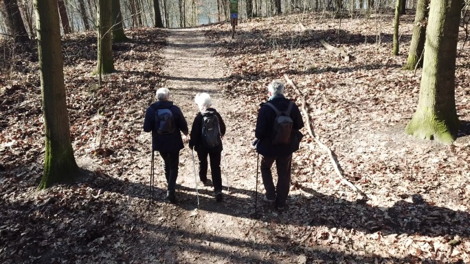 三位老朋友徒步穿越林间小路