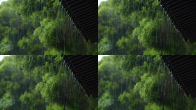 下雨公园下雨雨丝