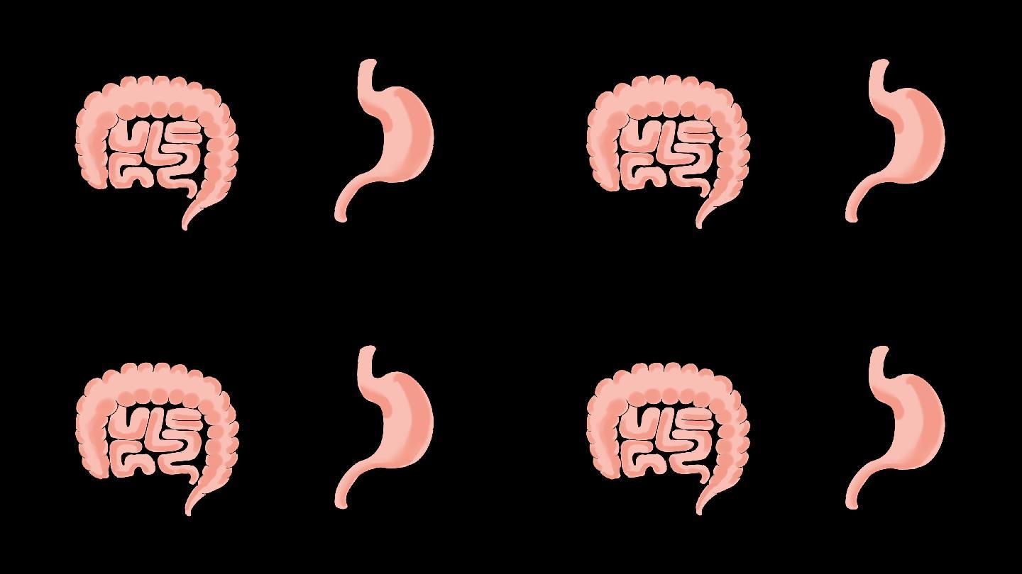 两组手绘卡通风格胃部肠道动画