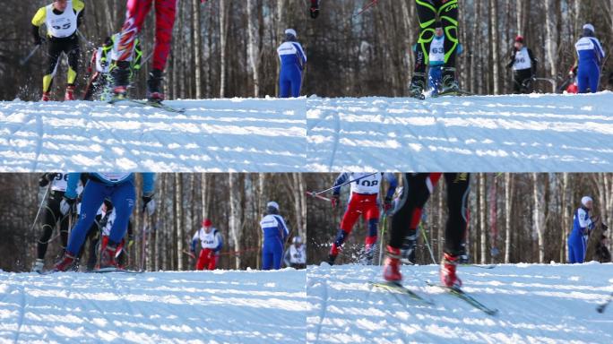 冬季森林越野滑雪体育运动训练赛道