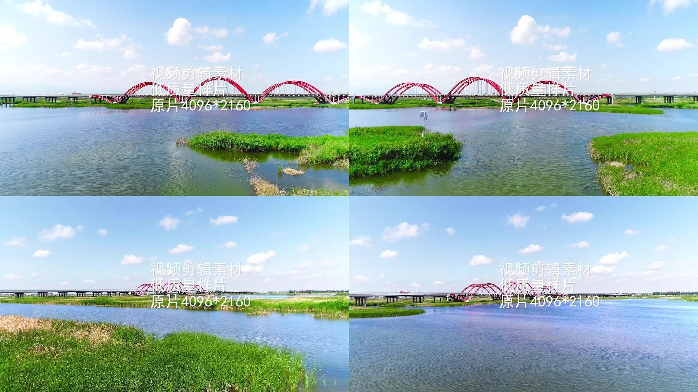 银川生态美景，阅海大桥4K