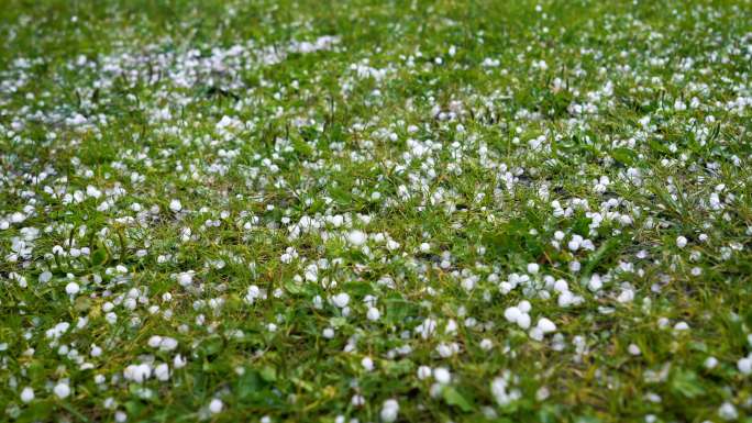 大冰雹落在绿草上4K恶劣天气对流天气自然
