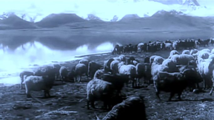 60年代西藏牧民