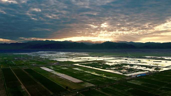 4K60P稻田田野湖泊夕阳湿地