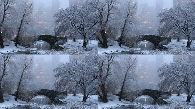 中央公园冬夜