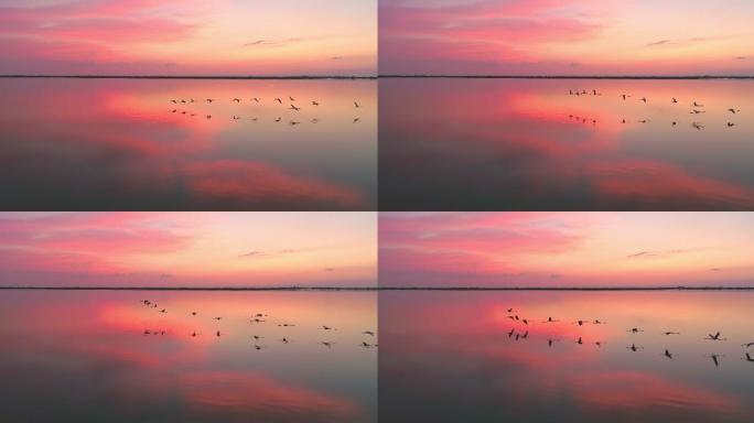 夕阳下的湖面唯美夕阳湖面晚霞天鹅一行白鹭