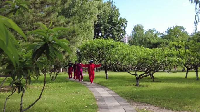北京公园-晨练-逆光美景