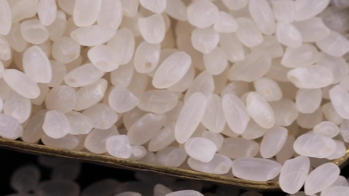 珍珠米视频4K、大米、大米洒落、大米实拍