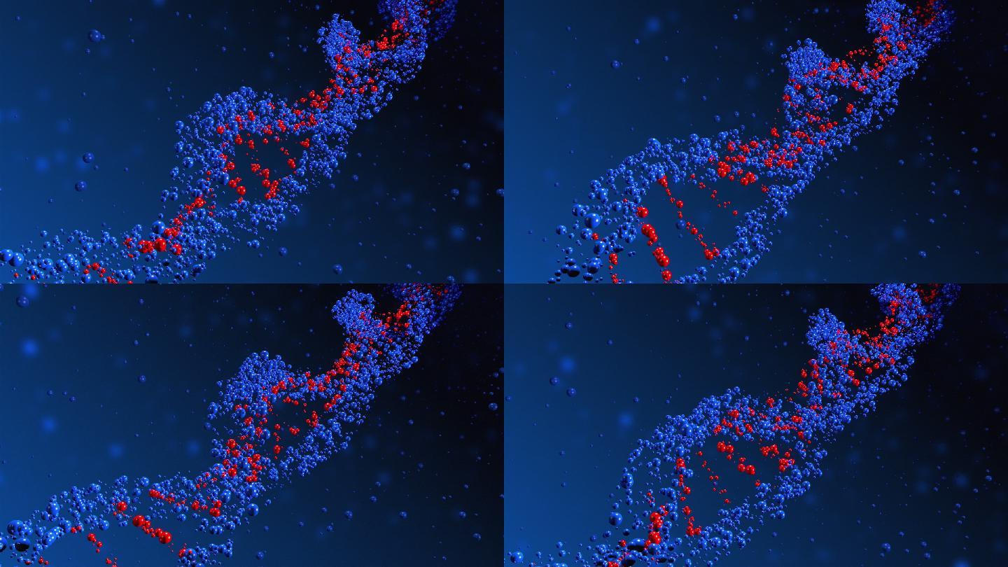 DNA分子的三维循环动画
