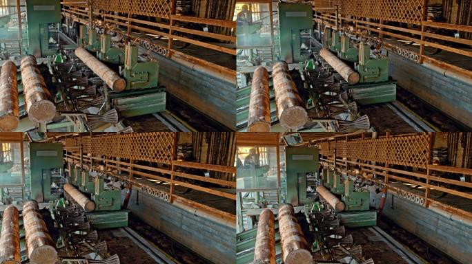 在锯木厂用机器把原木切成木板