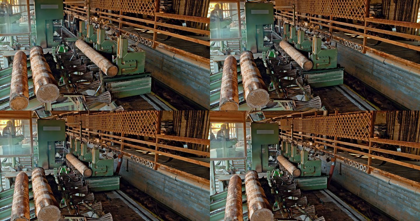 在锯木厂用机器把原木切成木板