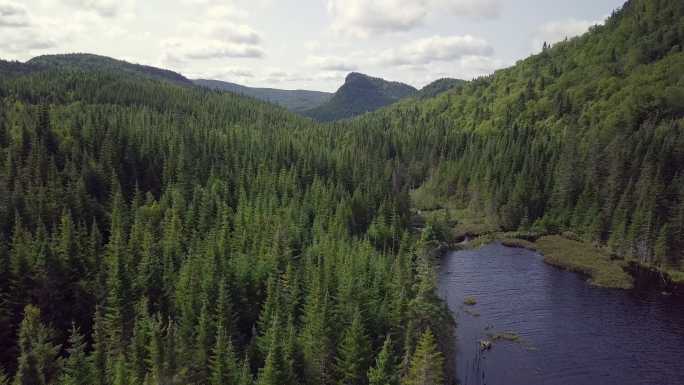 夏季北方天然林和山地鸟瞰图