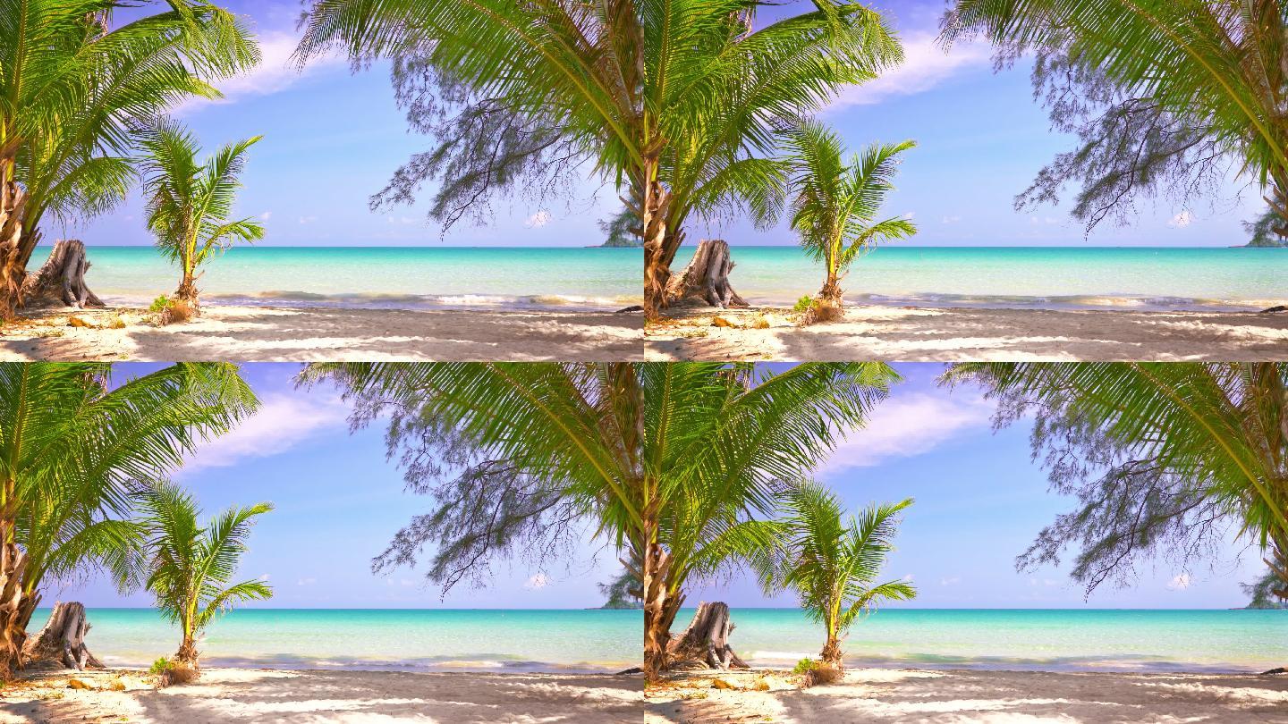椰子树夏日沙滩