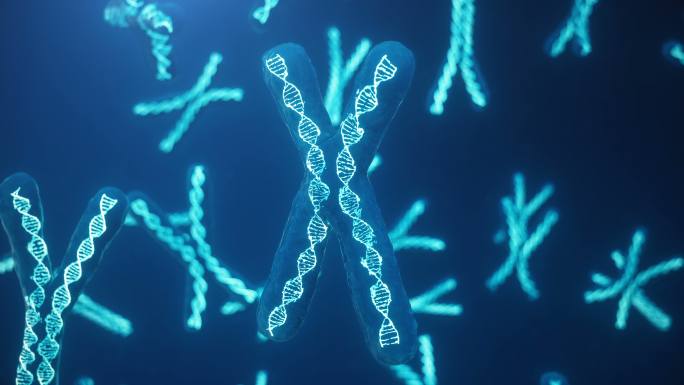 蓝色背景上的X和Y染色体。