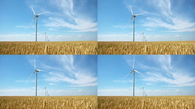黄麦田发电风车群清洁能源