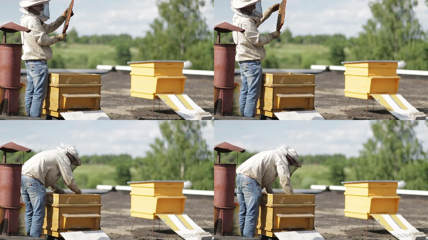 蜂巢养蜂人