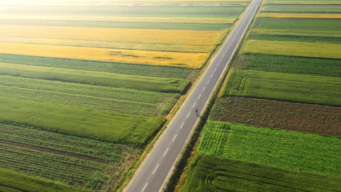 在乡村公路上骑自行车的人