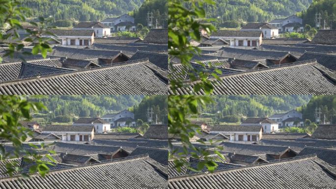 张谷英村民居屋顶