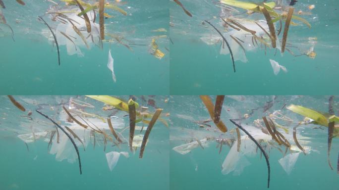 海洋中的塑料污染污染坏境