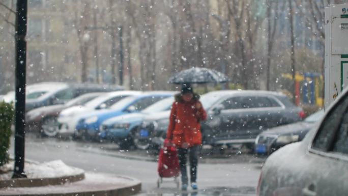 下雪视频素材