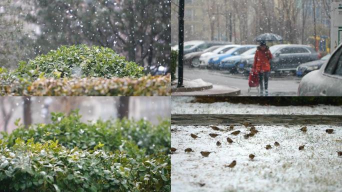 下雪视频素材