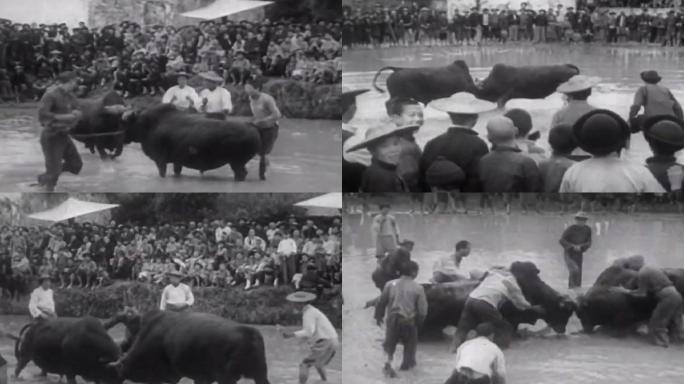40年代中国南方村寨斗牛