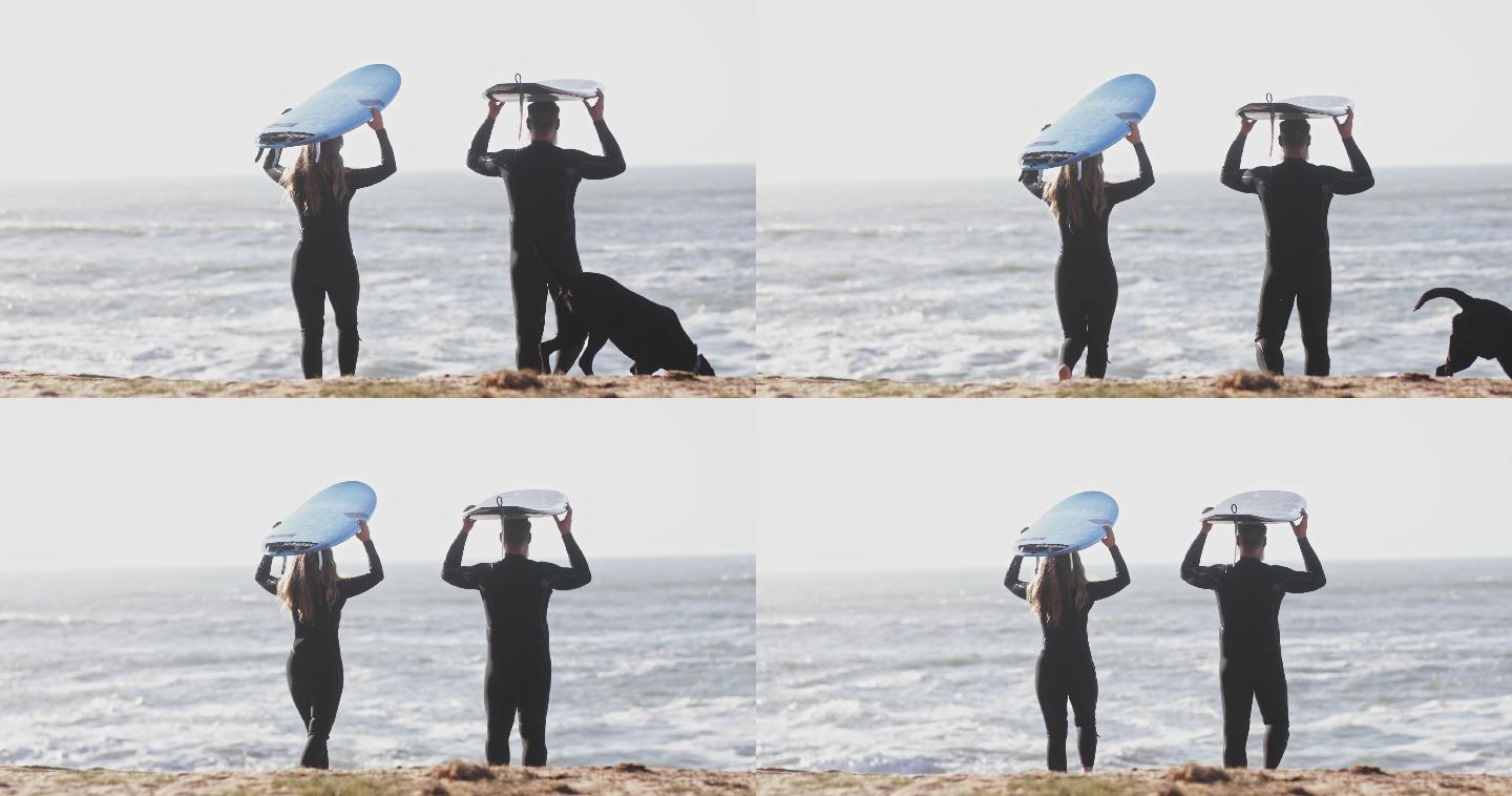 在沙滩上带着狗玩冲浪板