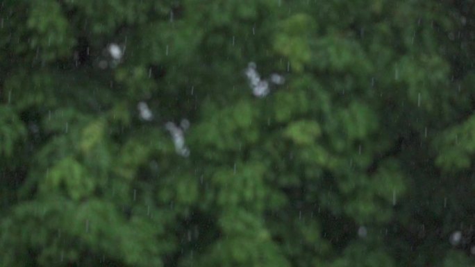 下雨天雨滴慢镜头