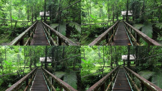 走在吊桥上第一视角走木桥丛林中俄吊索桥穿