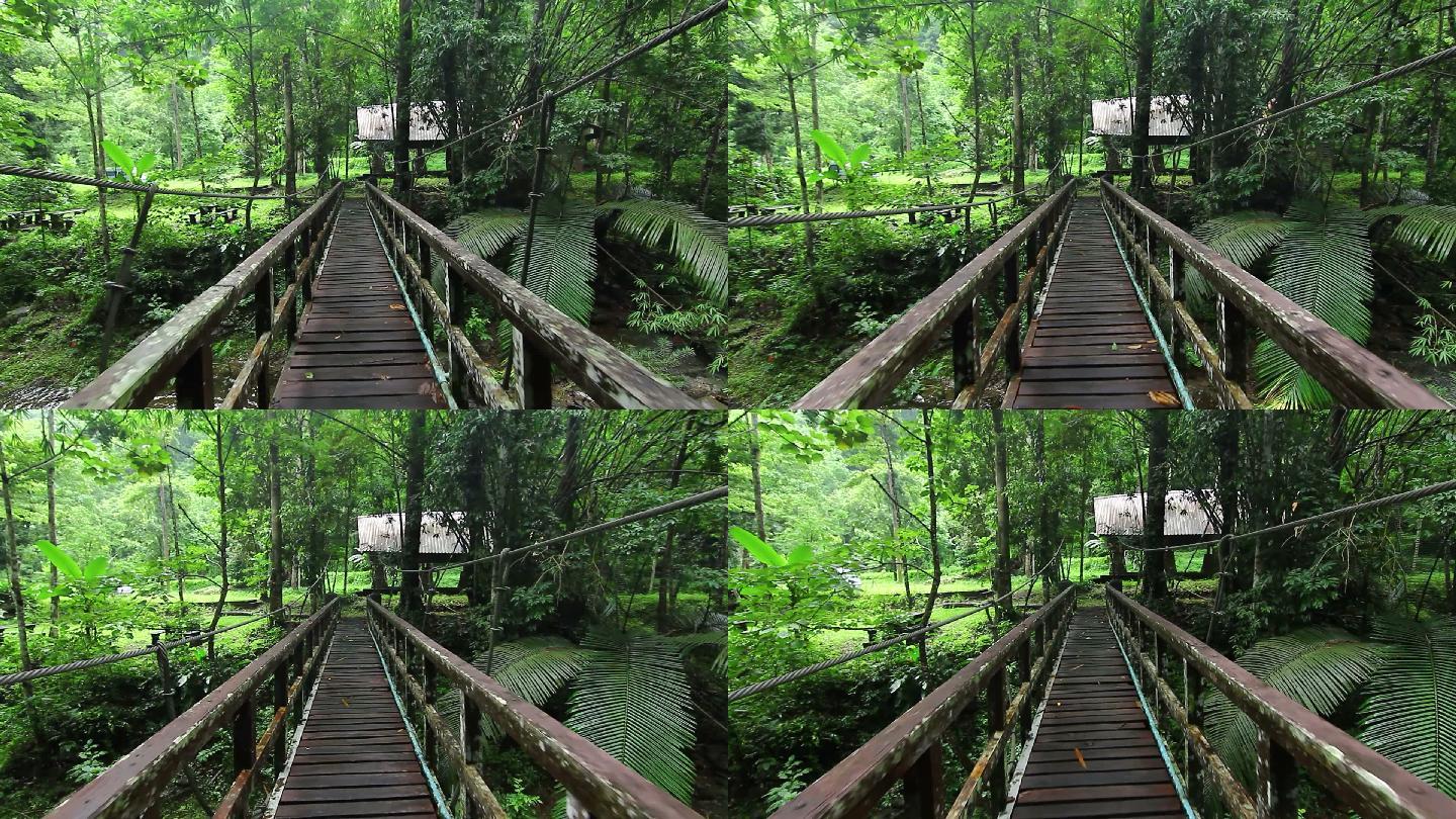 走在吊桥上第一视角走木桥丛林中俄吊索桥穿