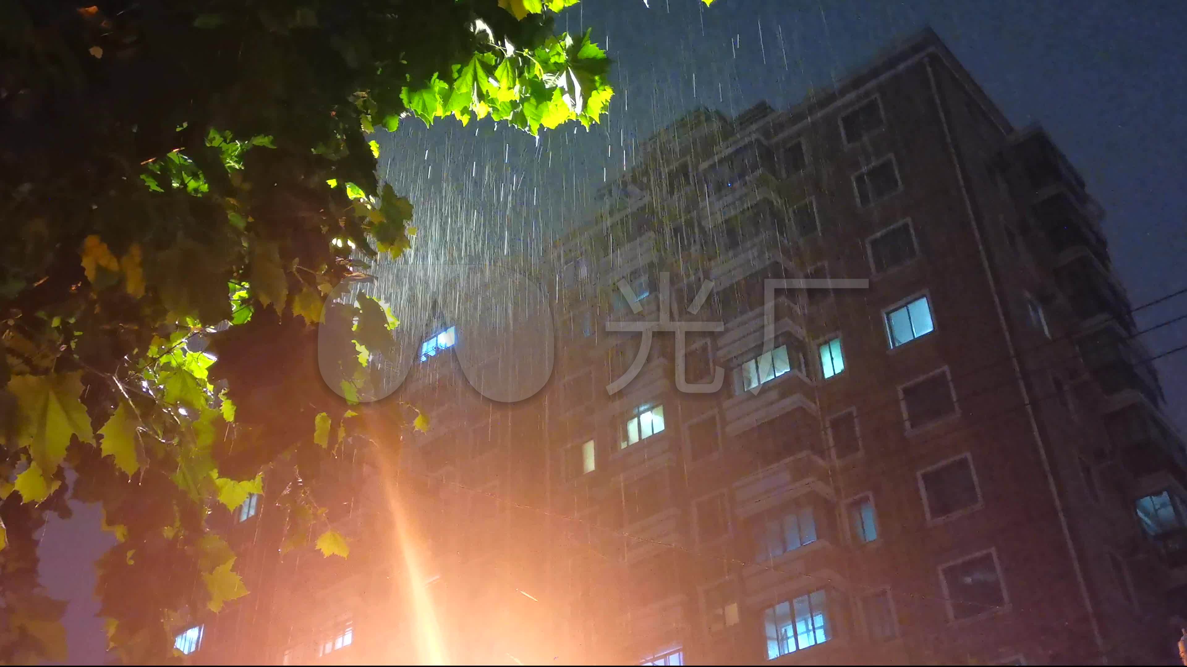 4k实拍唯美枫叶雨天意境风光视频特效素材-千库网