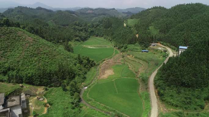 4k高清农田水稻推进航拍素材