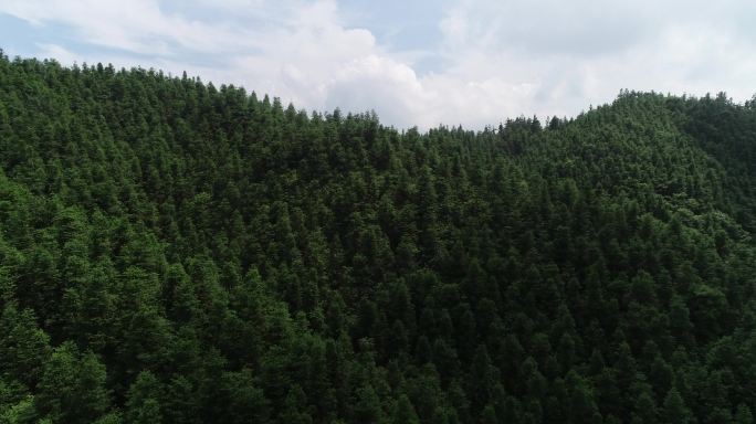 4k高清翻越高山森林航拍素材