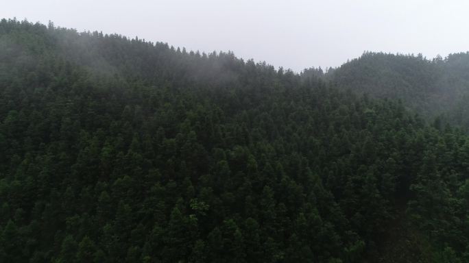 4k高清云雾缭绕高山森林航拍素材
