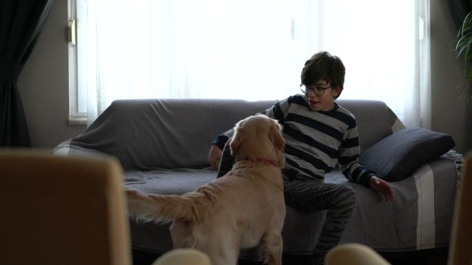 男孩在客厅里和狗玩