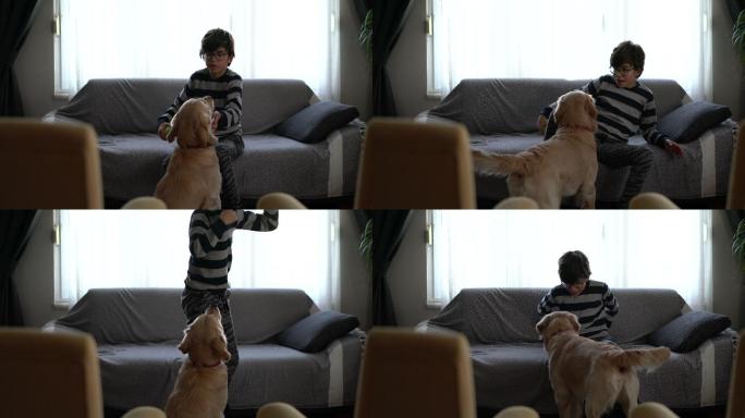 男孩在客厅里和狗玩