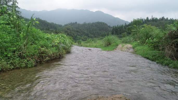 4k高清清澈见底河面水草茂盛航拍素材