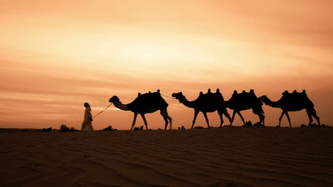 沙漠中的骆驼牧人